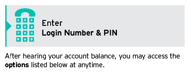 Step 1 - dial, select language and enter PIN